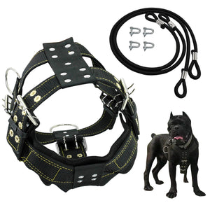 K9 Durable Dog Harness and Leash for medium to large Dogs - GAME-BRED K-9's