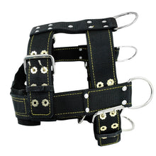 Load image into Gallery viewer, K9 Durable Dog Harness and Leash for medium to large Dogs - GAME-BRED K-9&#39;s