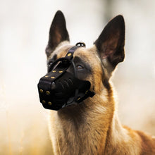 Load image into Gallery viewer, Leather Dog Aggression Muzzle Anti Bark and Bite - GAME-BRED K-9&#39;s