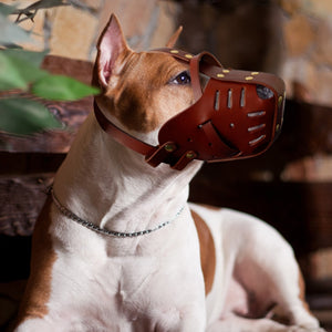 Leather Dog Aggression Muzzle Anti Bark and Bite - GAME-BRED K-9's