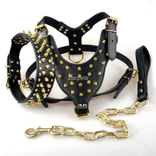 Load image into Gallery viewer, Cool Spiked Studded Leather Dog Harness Rivets Collar and Leash Set For Medium Large Dogs Pitbull Bulldog Bull Terrier  26&quot;-34&quot; - GAME-BRED K-9&#39;s