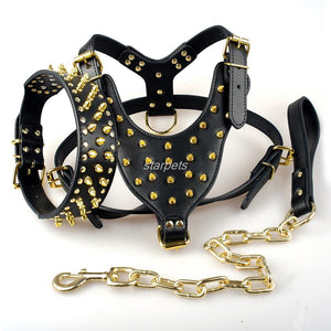 Cool Spiked Studded Leather Dog Harness Rivets Collar and Leash Set For Medium Large Dogs Pitbull Bulldog Bull Terrier  26"-34" - GAME-BRED K-9's