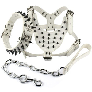 Cool Spiked Studded Leather Dog Harness Rivets Collar and Leash Set For Medium Large Dogs Pitbull Bulldog Bull Terrier  26"-34" - GAME-BRED K-9's